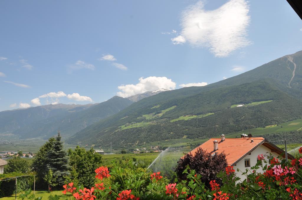 Feldgaertenhof Silandro Rom bilde